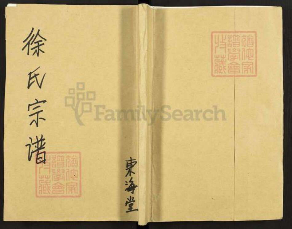 江苏省盐城市建湖县建阳镇徐氏东海堂族谱-徐氏宗谱.pdf电子版缩略图