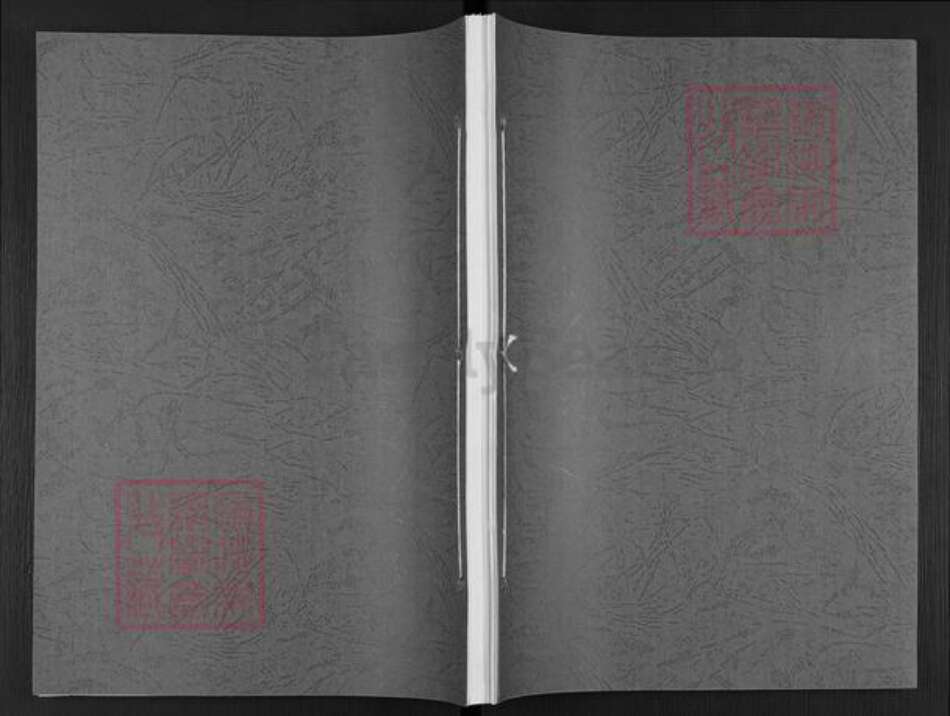 湖南省岳阳市汨罗市徐氏族谱-徐氏家谱.pdf电子版缩略图