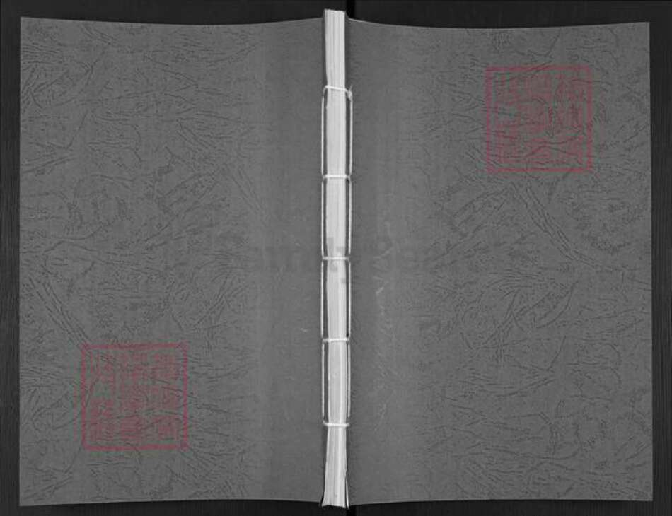 安徽省宣城市徐氏东海堂族谱-徐氏宗谱.pdf电子版缩略图