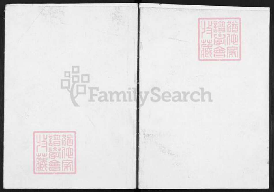 安徽省安庆市望江县徐氏通介堂族谱-徐氏宗谱.pdf电子版缩略图