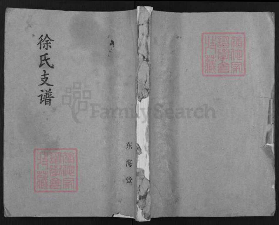 江苏省盐城市亭湖区徐氏东海堂族谱-徐氏支谱.pdf电子版缩略图