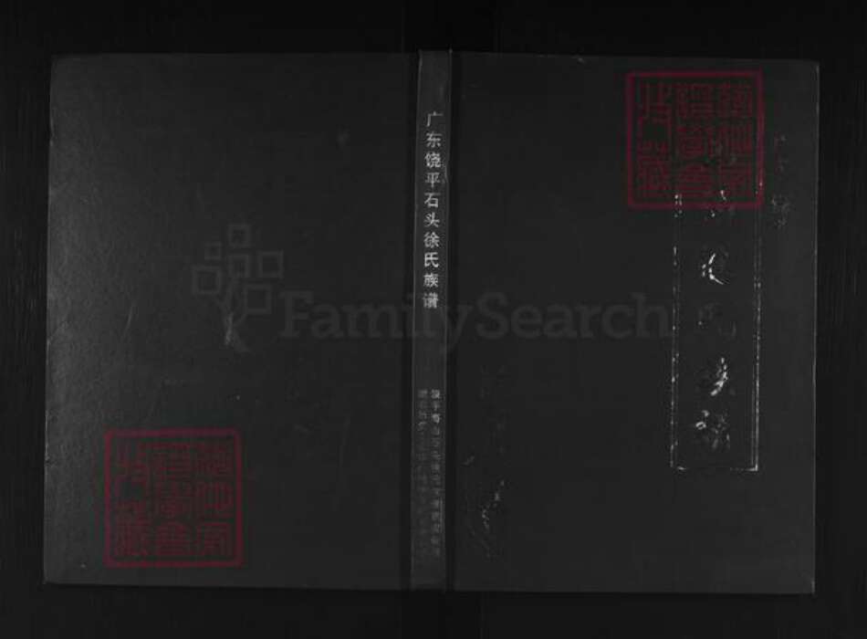 广东省潮州市饶平县海山镇徐氏追远堂族谱-广东饶平石头徐氏族谱.pdf电子版缩略图