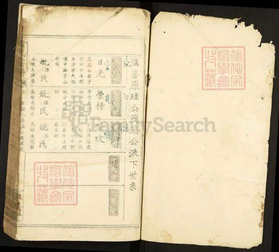 陕西省安康市紫阳县徐氏族谱-徐氏宗谱.pdf电子版预览图1