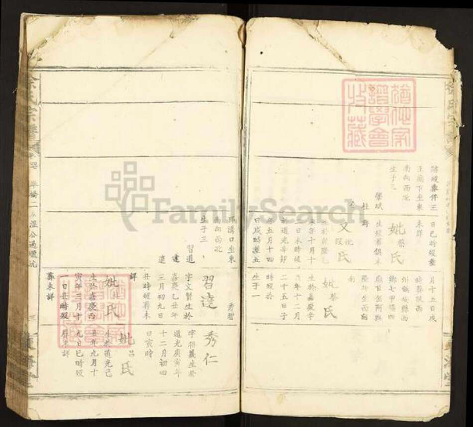 陕西省安康市紫阳县徐氏族谱-徐氏宗谱.pdf电子版预览图2