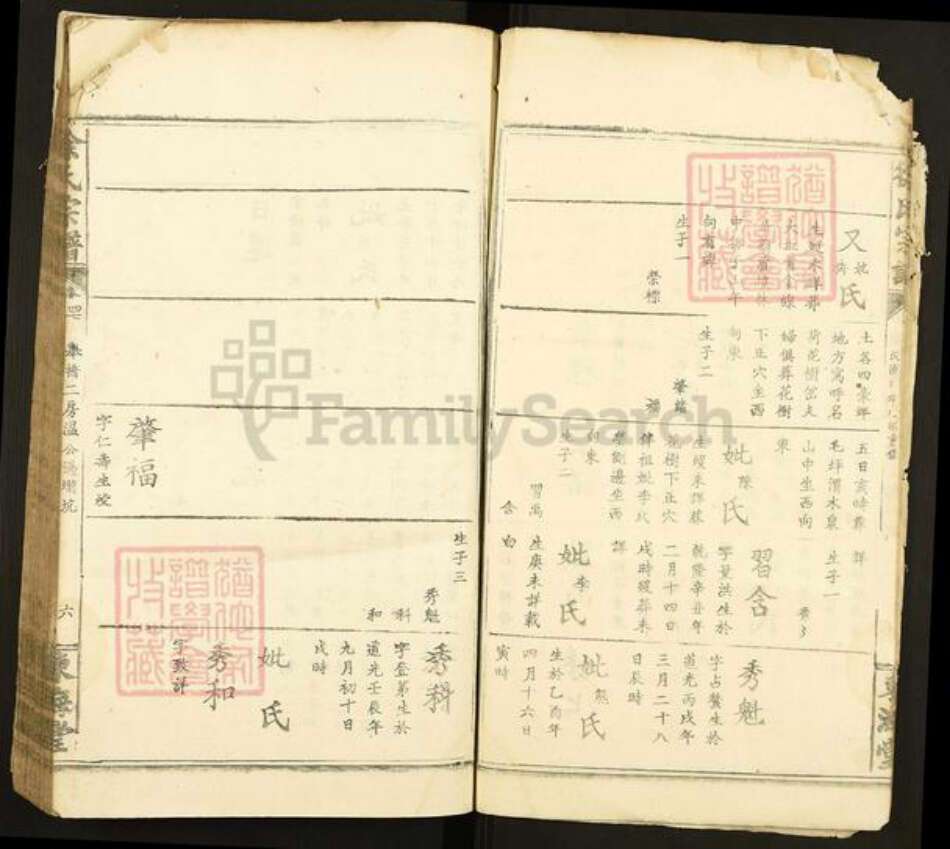 陕西省安康市紫阳县徐氏族谱-徐氏宗谱.pdf电子版预览图5