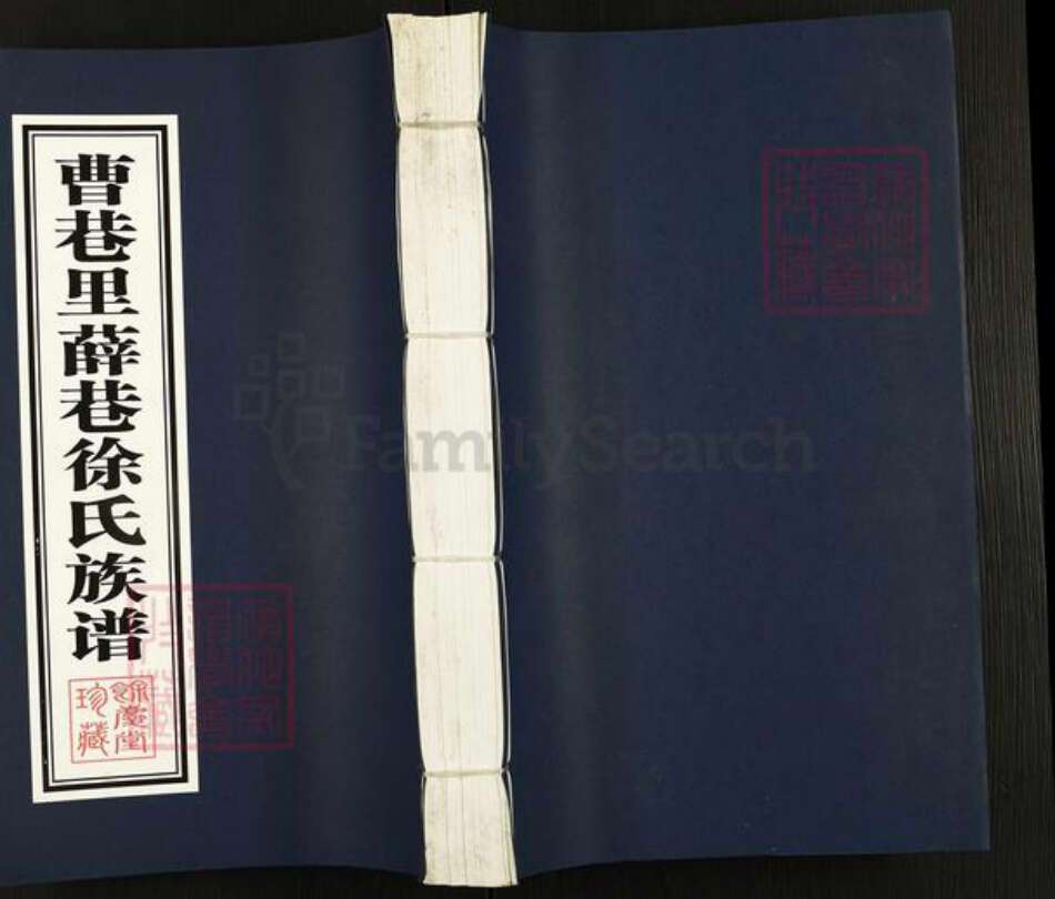 江苏省常州市武进县洛阳镇徐氏余庆堂族谱-曹巷里薛巷徐氏族谱.pdf电子版缩略图