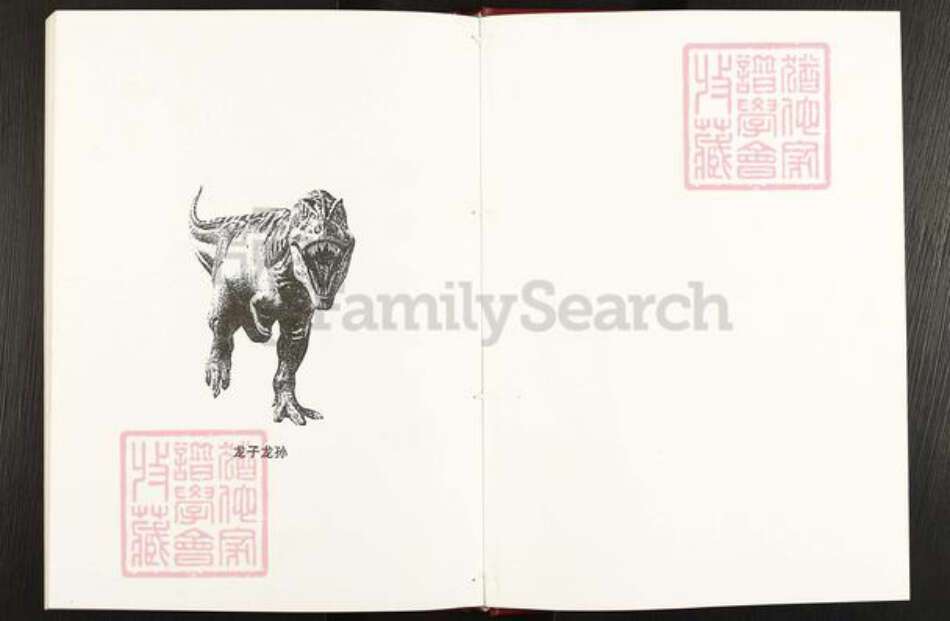 江苏省常州市天宁区郑陆镇徐氏谦益堂族谱-阳邑棠林徐氏宗谱.pdf电子版预览图1