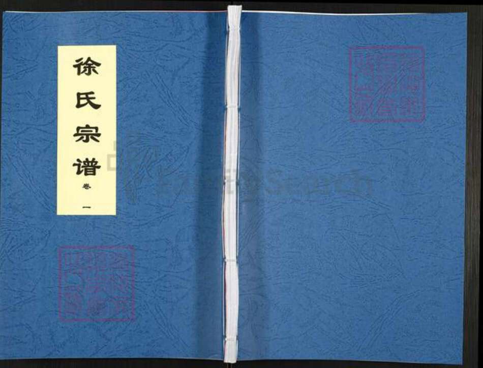 安徽省合肥市肥东县徐氏三伯堂族谱-徐氏宗谱.pdf电子版缩略图