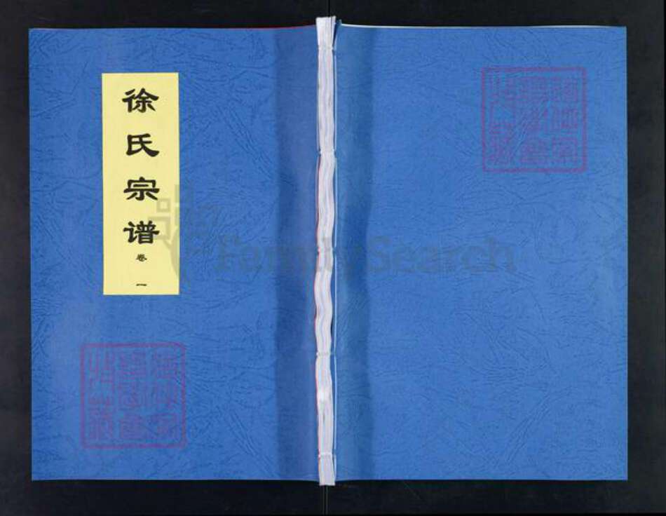 安徽省合肥市徐氏三伯堂族谱-徐氏宗谱.pdf电子版缩略图