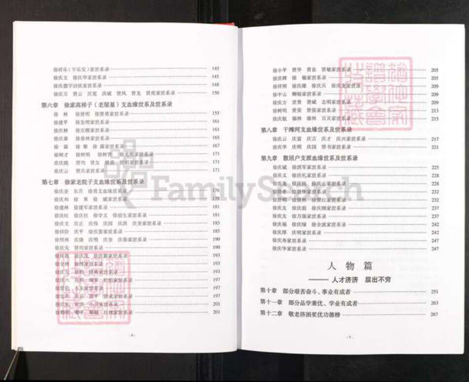 四川省广安市武胜县徐氏族谱-徐氏家谱.武胜岳池部分.pdf电子版预览图4