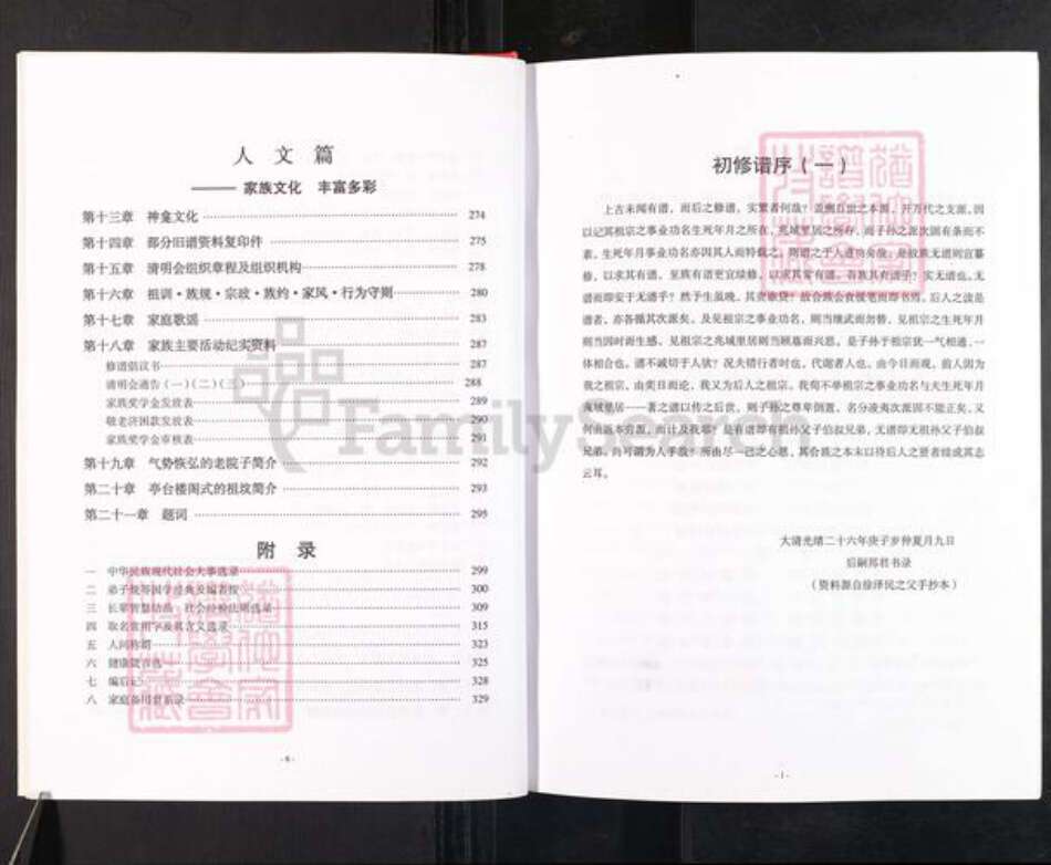 四川省广安市武胜县徐氏族谱-徐氏家谱.武胜岳池部分.pdf电子版预览图5