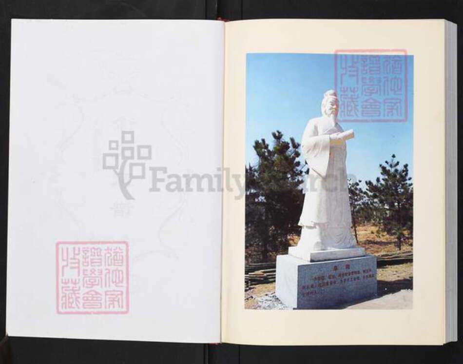 四川省广安市武胜县徐氏族谱-徐氏家谱.pdf电子版预览图2