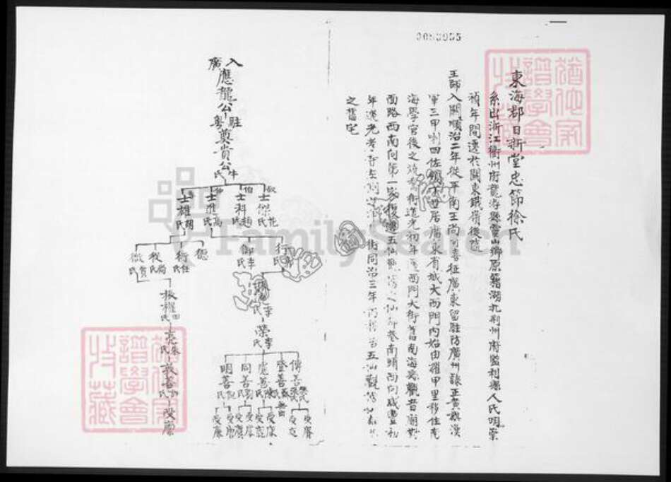 广东省佛山市南海区徐氏族谱-东海徐氏谱略.pdf电子版预览图2