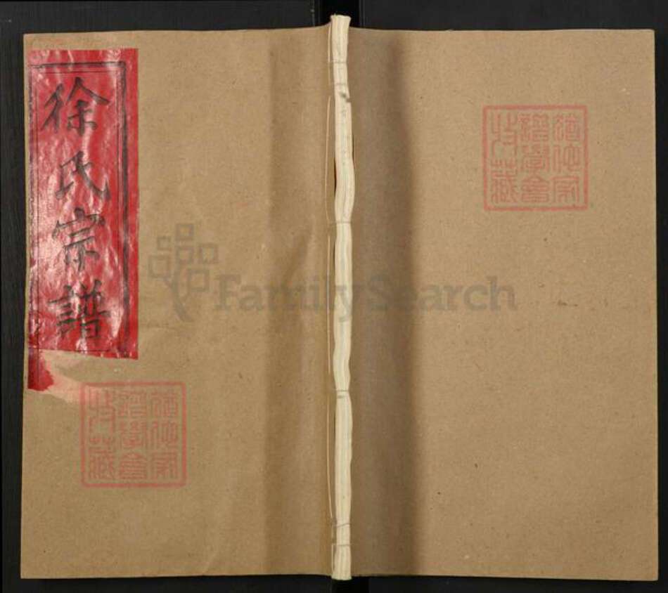 安徽省安庆市宿松县徐氏族谱-徐氏宗谱.pdf电子版缩略图