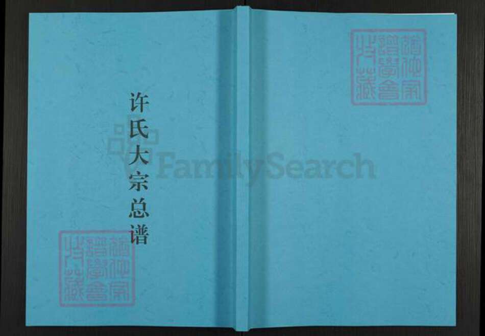 湖北省黄石市阳新县许氏敦本堂族谱-许氏大宗总谱.pdf电子版缩略图