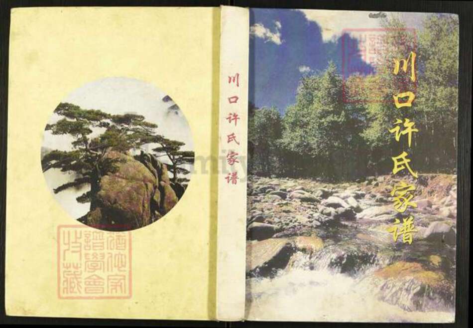 山西省临汾市浮山县许氏族谱-川口许氏家谱.pdf电子版缩略图