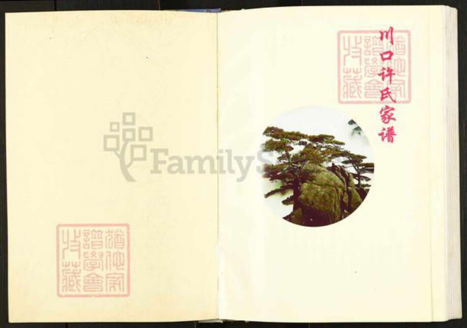 山西省临汾市浮山县许氏族谱-川口许氏家谱.pdf电子版预览图1