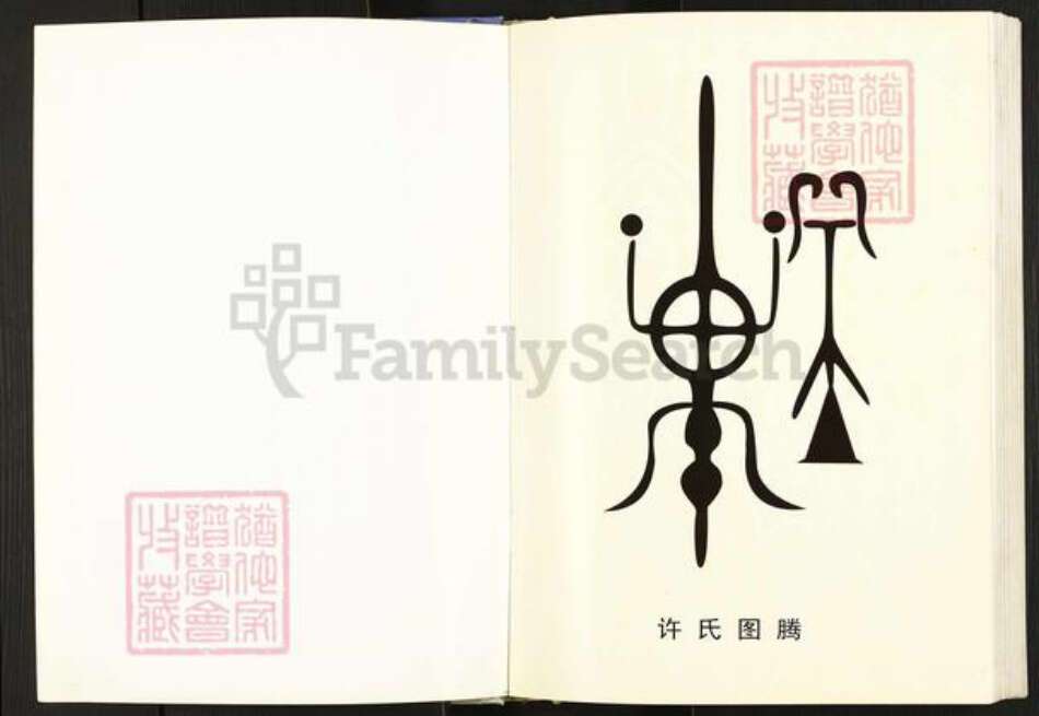 山西省临汾市浮山县许氏族谱-川口许氏家谱.pdf电子版预览图3