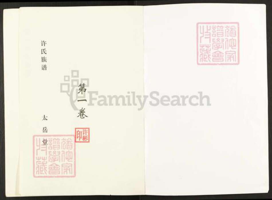 安徽省宿州市萧县丁里镇许氏太岳堂族谱-嶂山许氏族谱.pdf电子版预览图1