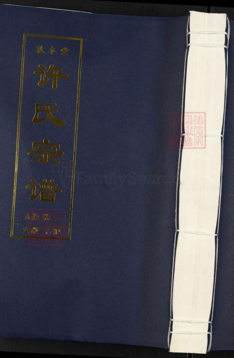 安徽省合肥市肥西县上派镇许氏敦本堂族谱-许氏宗谱.pdf电子版缩略图