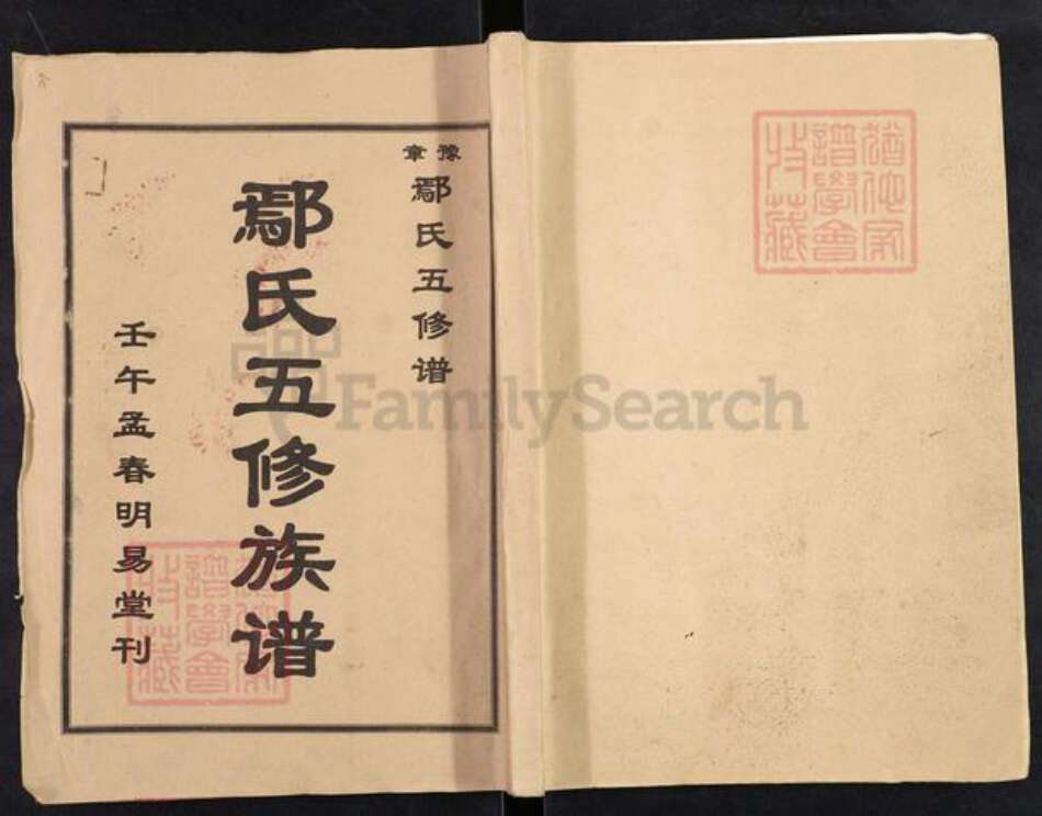 湖南省衡阳市鄢氏明易堂族谱-鄢氏五修族谱.pdf电子版