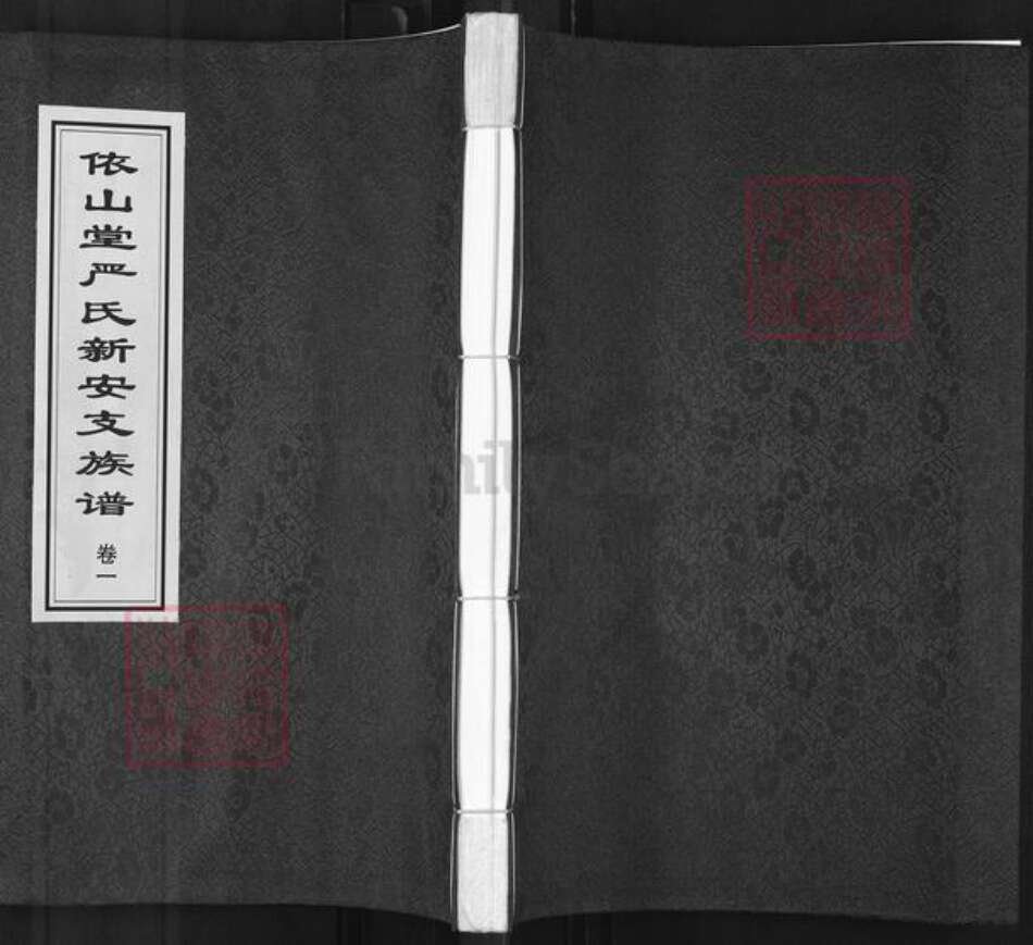 青海省海东市平安区严氏依山堂族谱-依山堂严氏新安支族谱.pdf电子版缩略图