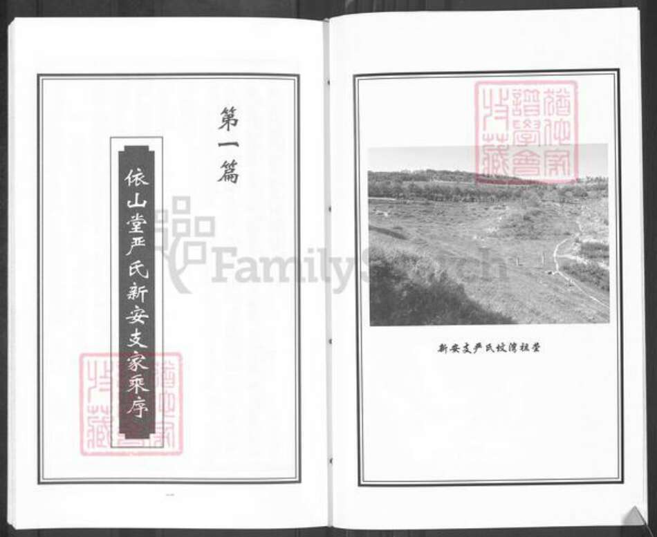 青海省海东市平安区严氏依山堂族谱-依山堂严氏新安支族谱.pdf电子版预览图5