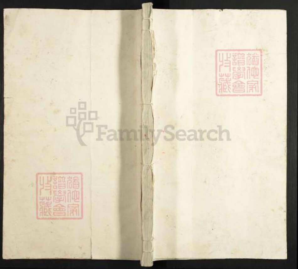 浙江省杭州市桐庐县县严氏族谱-桐江严氏宗谱.pdf电子版缩略图