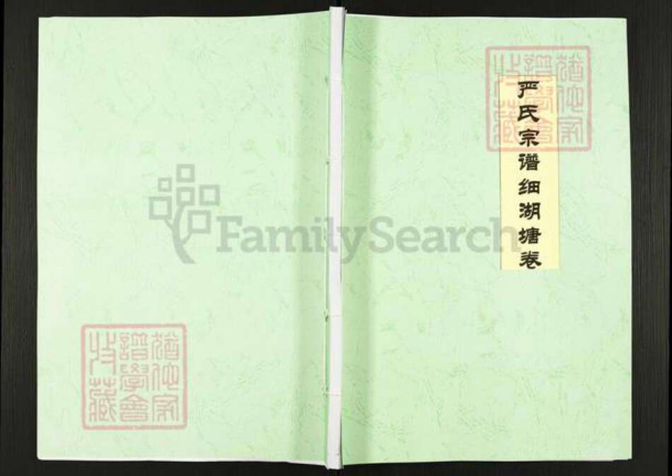 湖北省黄石市阳新县严氏族谱-严氏宗谱细湖塘卷.pdf电子版缩略图