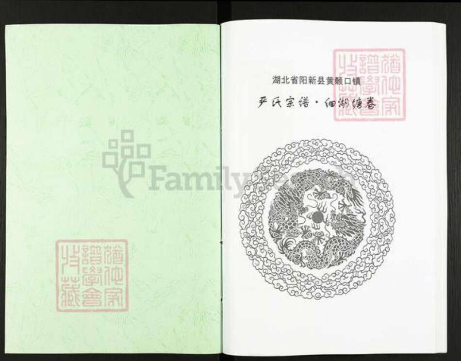 湖北省黄石市阳新县严氏族谱-严氏宗谱细湖塘卷.pdf电子版预览图1