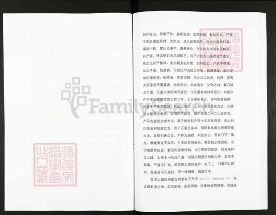 湖北省黄石市阳新县严氏族谱-严氏宗谱细湖塘卷.pdf电子版预览图5