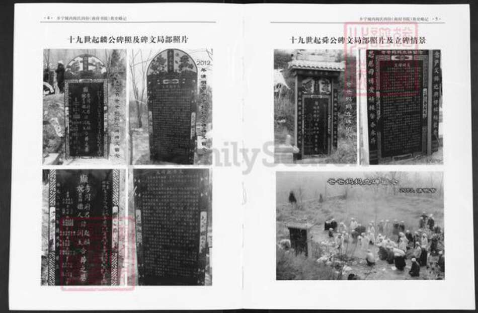 湖北省黄石市大冶市金牛镇阎氏族谱-乡宁城内阎氏四份(南府书院)族史略记.pdf电子版预览图5