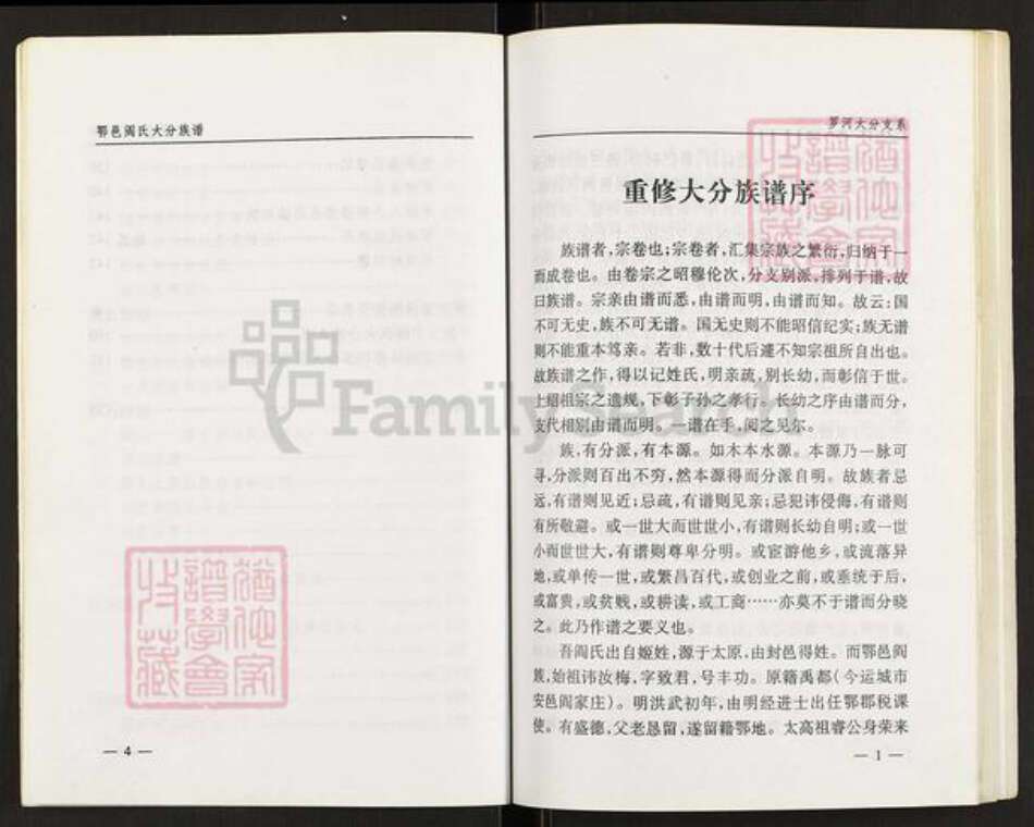 山西省临汾市乡宁县昌宁镇阎氏族谱-鄂邑阎氏大分族谱.pdf电子版预览图5