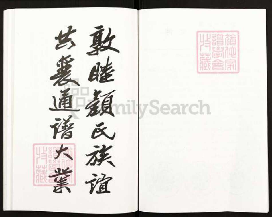 江苏省扬州市高邮市临泽镇颜氏复圣堂族谱-北荡颜氏支谱.pdf电子版预览图4