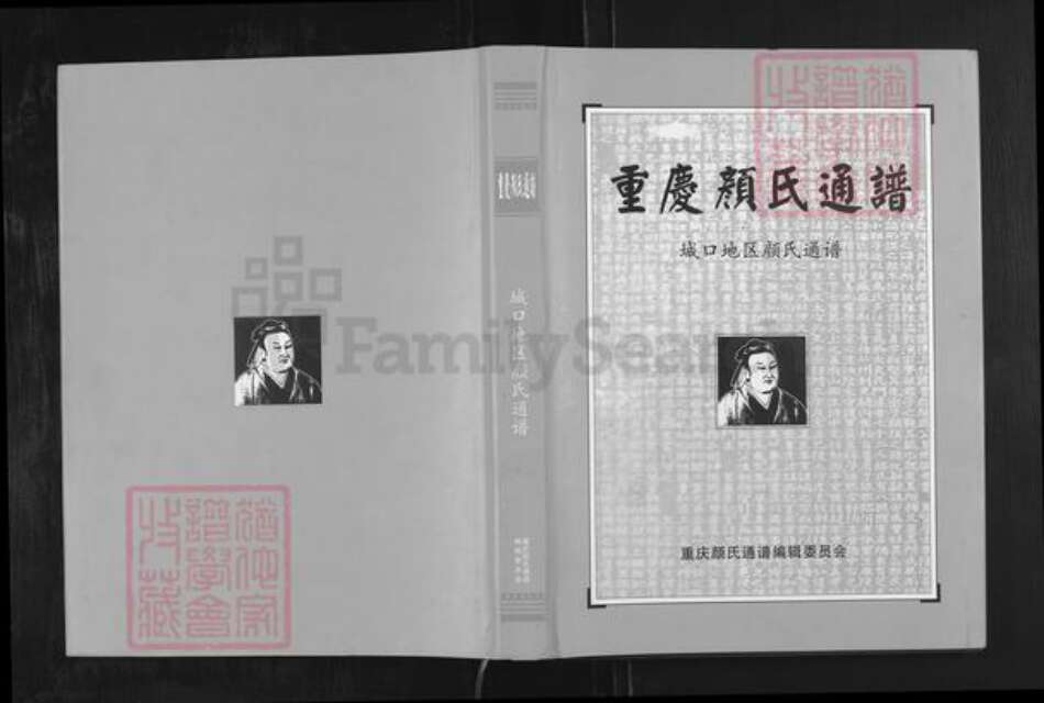 重庆市城口县颜氏族谱-重庆颜氏宗谱.城口地区颜氏通谱.pdf电子版缩略图