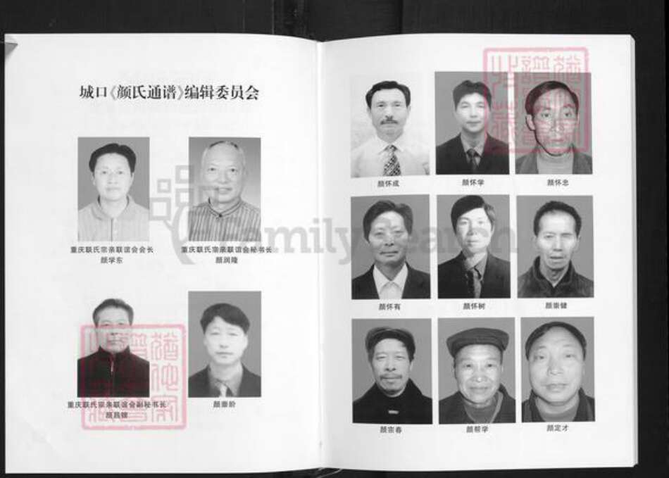 重庆市城口县颜氏族谱-重庆颜氏宗谱.城口地区颜氏通谱.pdf电子版预览图3