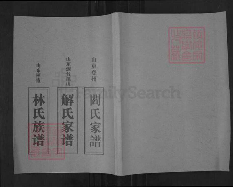 山东省烟台市蓬莱市登州街道阎氏族谱-山东登州阎氏家谱.pdf电子版缩略图