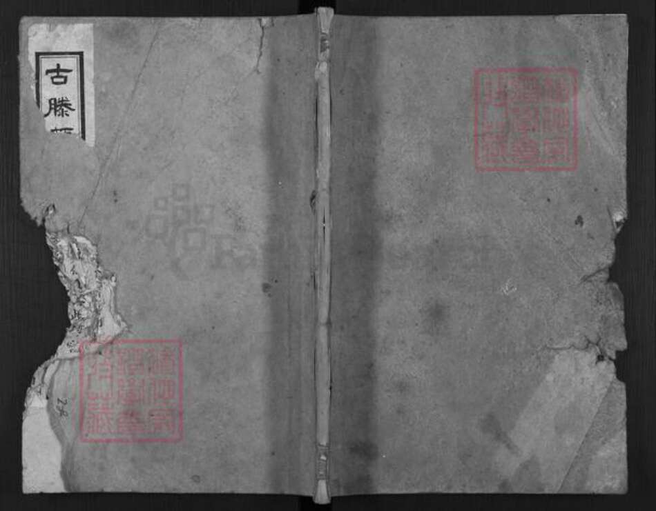 山东省枣庄市滕州市颜氏族谱-古滕颜氏族谱.pdf电子版缩略图