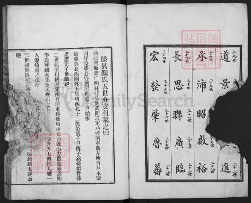 山东省枣庄市滕州市颜氏族谱-古滕颜氏族谱.pdf电子版预览图2