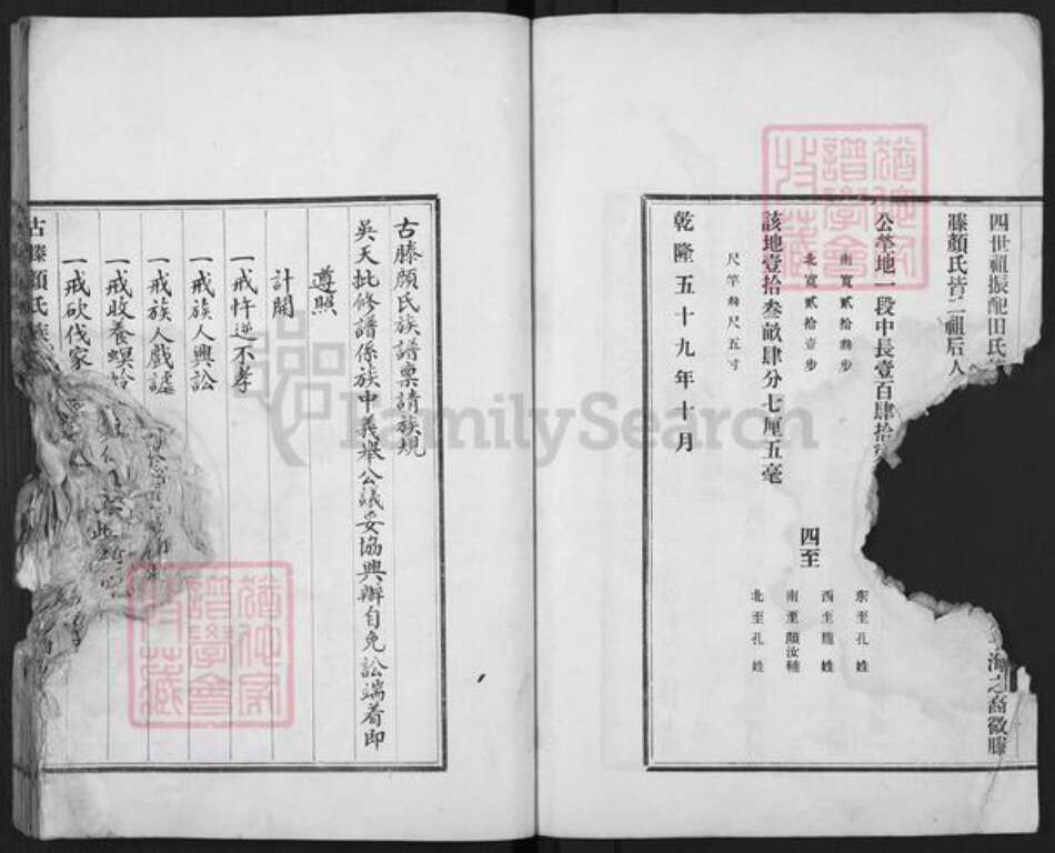 山东省枣庄市滕州市颜氏族谱-古滕颜氏族谱.pdf电子版预览图3