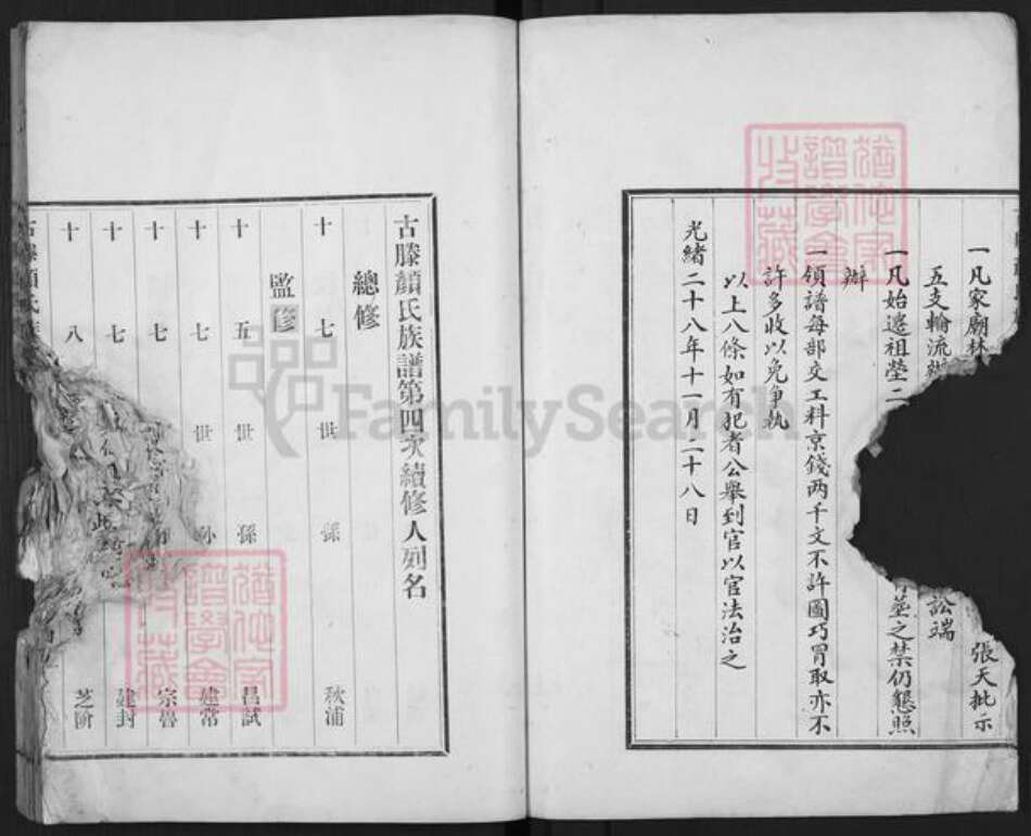 山东省枣庄市滕州市颜氏族谱-古滕颜氏族谱.pdf电子版预览图4