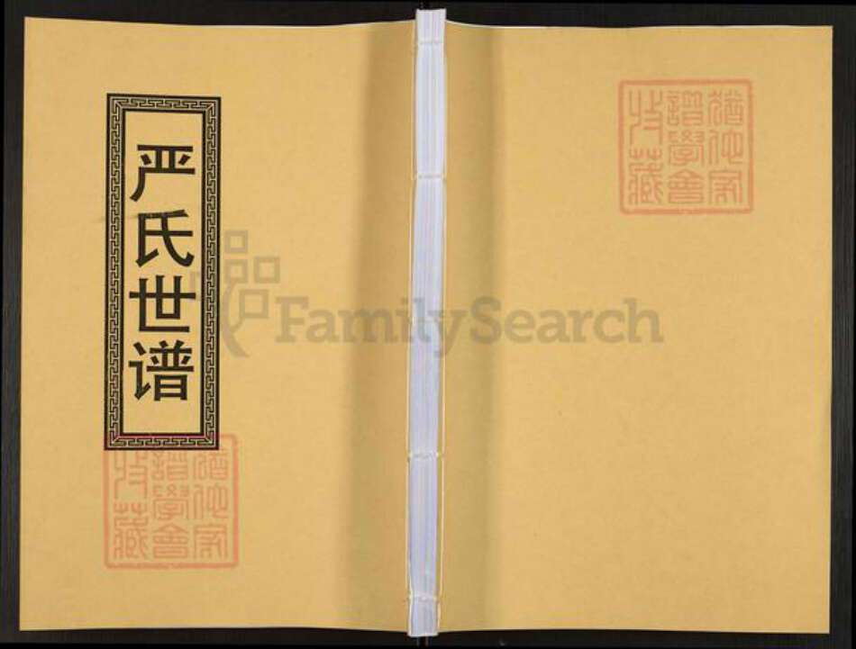 江苏省苏州市常熟市海虞镇严氏族谱-严氏世谱.pdf电子版缩略图