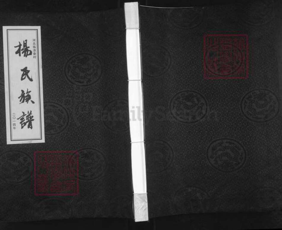 河北省邯郸市临漳县杨氏族谱-河北临漳秦村杨氏族谱.pdf电子版缩略图