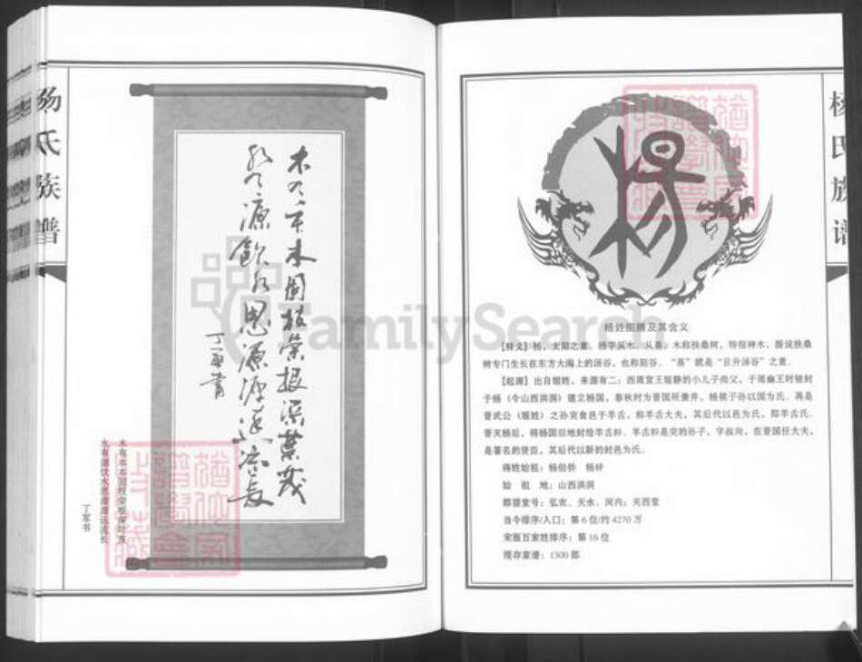 河北省邯郸市临漳县杨氏族谱-河北临漳秦村杨氏族谱.pdf电子版预览图2