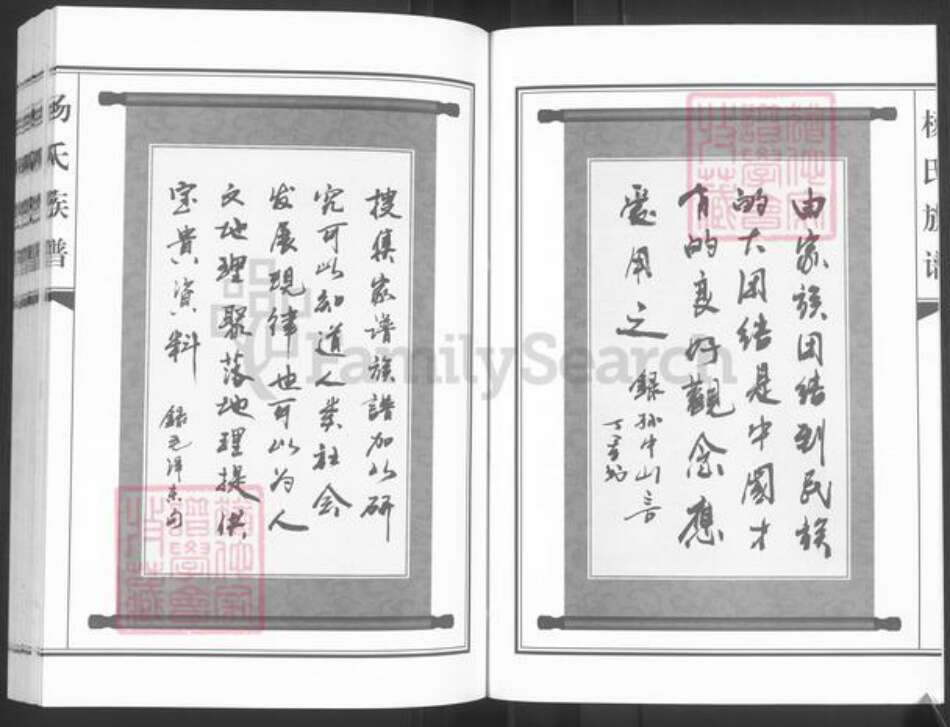 河北省邯郸市临漳县杨氏族谱-河北临漳秦村杨氏族谱.pdf电子版预览图3