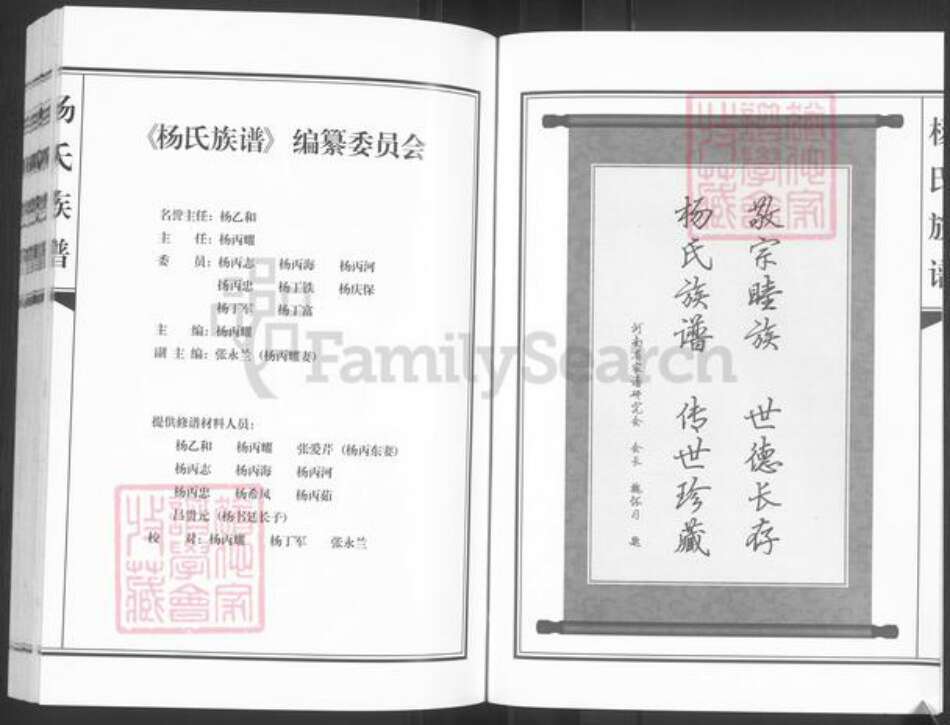 河北省邯郸市临漳县杨氏族谱-河北临漳秦村杨氏族谱.pdf电子版预览图4