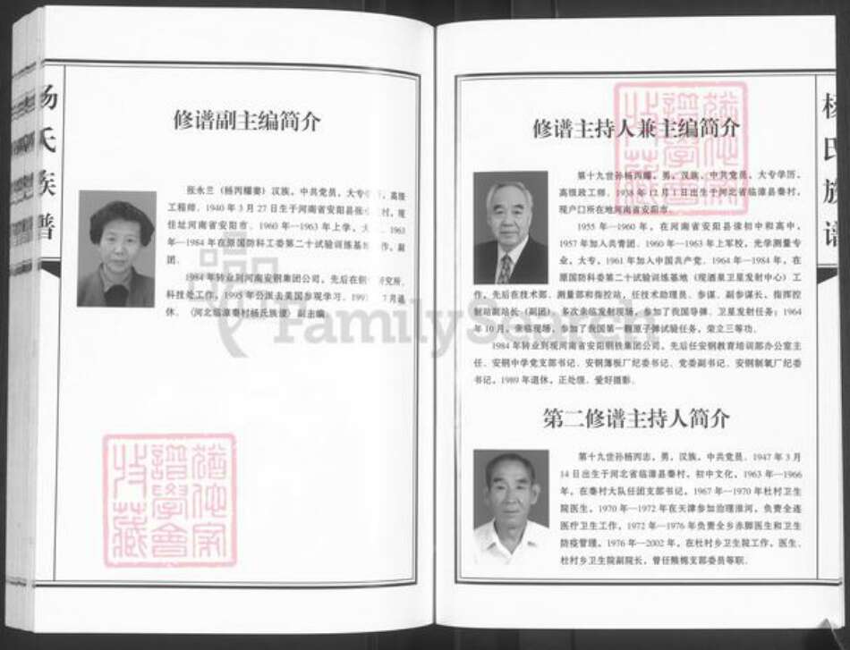 河北省邯郸市临漳县杨氏族谱-河北临漳秦村杨氏族谱.pdf电子版预览图5