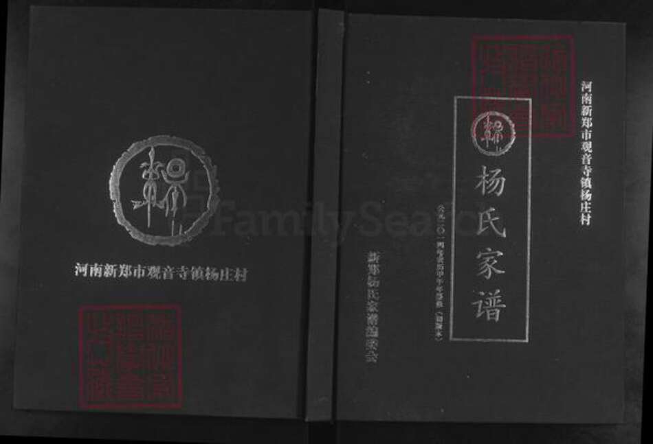 河南省郑州市新郑市杨氏族谱-杨氏家谱.pdf电子版缩略图