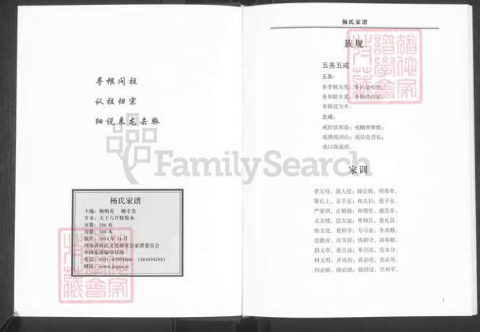 河南省郑州市新郑市杨氏族谱-杨氏家谱.pdf电子版预览图2