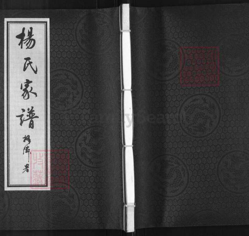 河北省沧州沧县崔尔庄镇杨氏族谱-杨氏家谱.pdf电子版缩略图